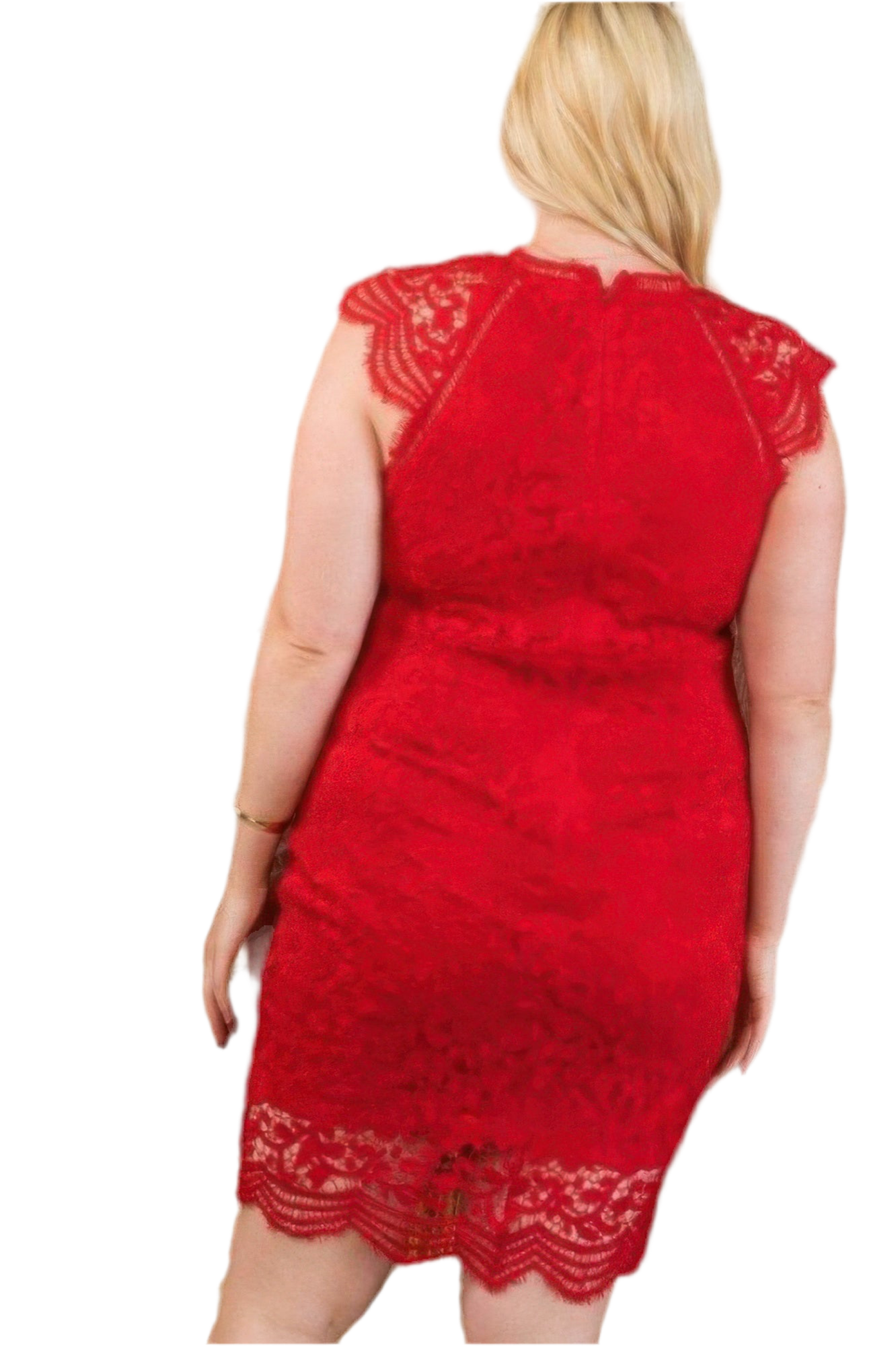 Lace Crochet Mini Raglan Dress With Zipper Back