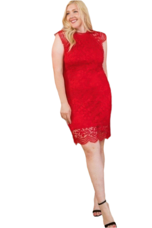 Lace Crochet Mini Raglan Dress With Zipper Back